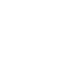 expert